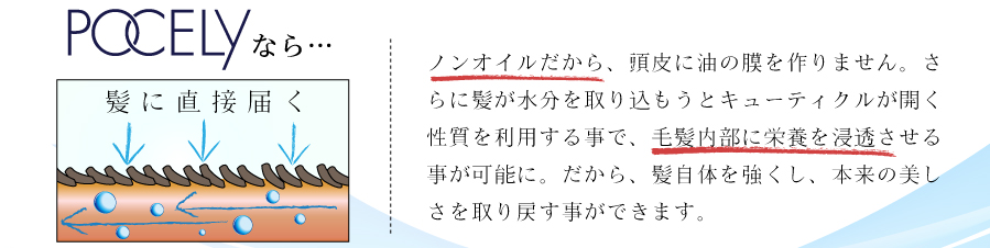 POCELYはノンオイルだから髪自体に栄養を浸透させる事が可能に。だから髪本来の美しさを取り戻す事ができます。